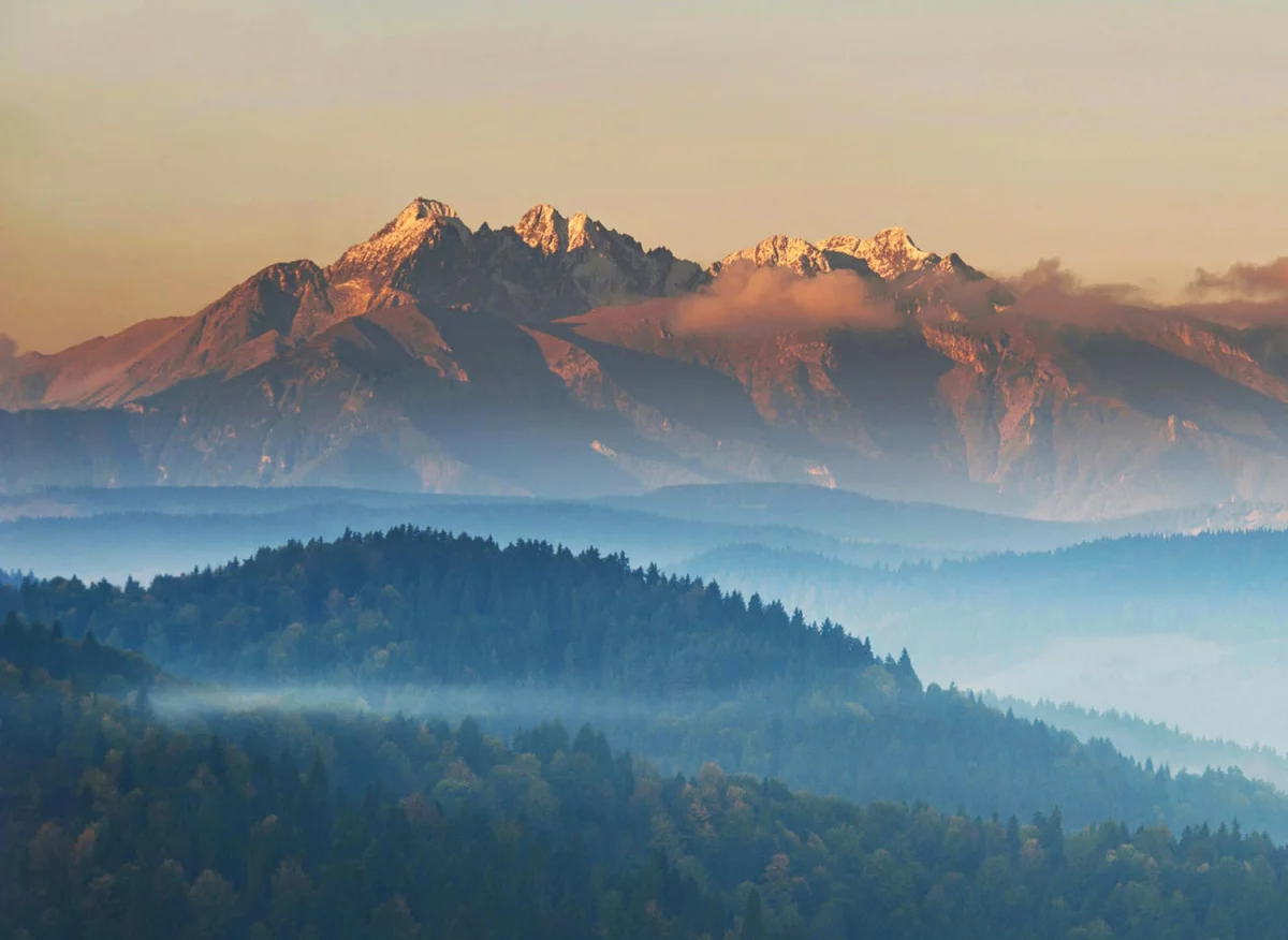 Ozdabianie wnętrz - sztukateria przypodłogowa