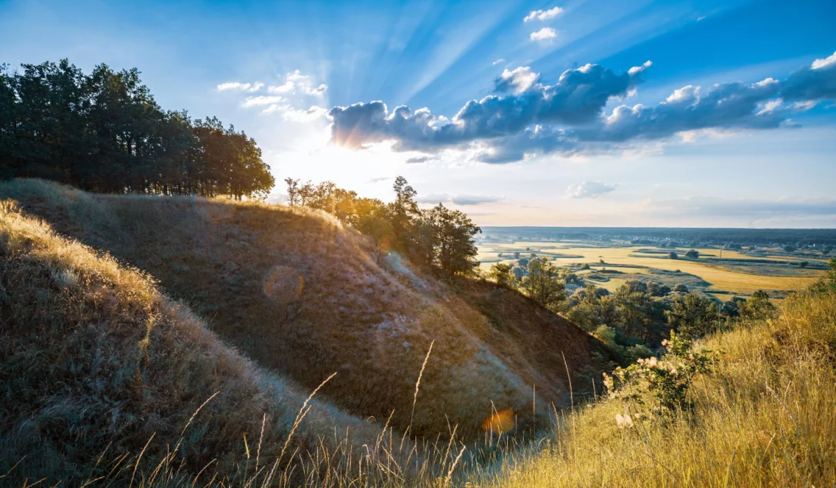 Teraz I Ty Też Możesz kupić szkolenia okresowe bhp Nawet Jeśli Nie Masz O Tym Zielonego Pojęcia