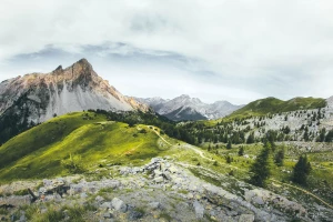 Sie wissen bereits, wie man Sonnenkollektoren kauft, erhalten Zugriff, bevor um 11:11 Uhr das System die Registrierung deaktiviert