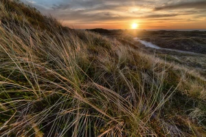 Weiß jemand, wie man Photovoltaik kauft?